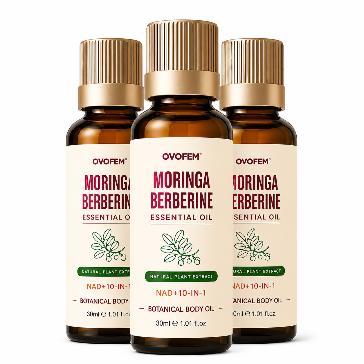 DAILY SUPPORT ESSENTIAL OIL
